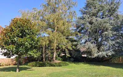 Lamotte-Beuvron (41600)