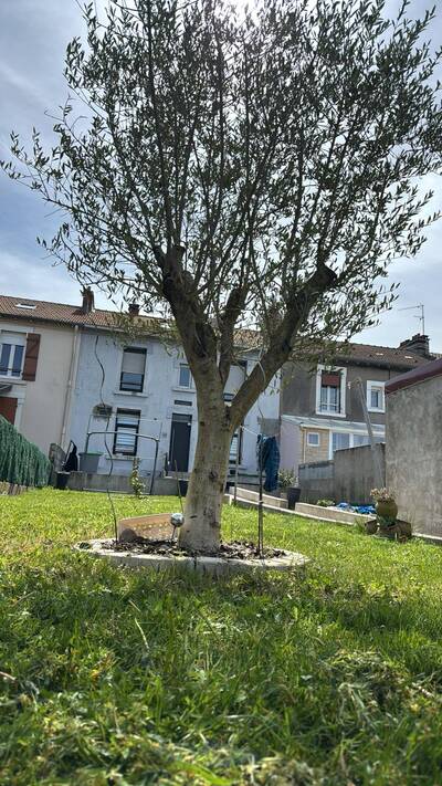 Vente maison 4 pièces Piennes (54490)