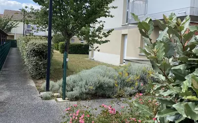 La Salvetat-Saint-Gilles (31880)