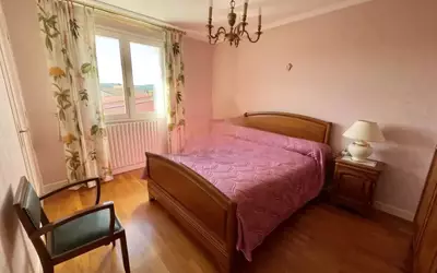 Brioude (43100)