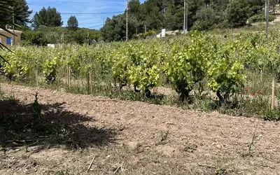 Bandol (83150)