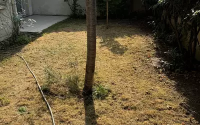 Noisy-Le-Grand (93160)
