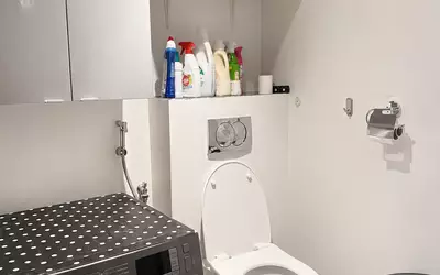 Villeurbanne (69100)
