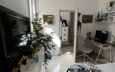 Montpellier (34000)