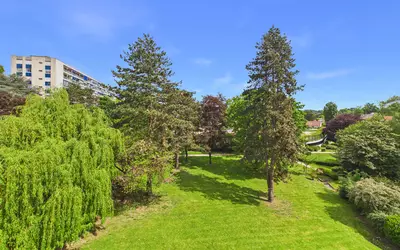 Ville-D'avray (92410)