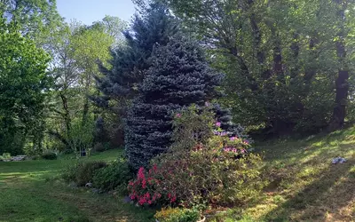 Poueyferré (65100)