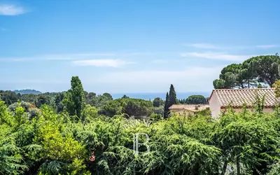 Mougins