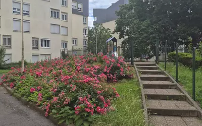 Boissy-Saint-Léger