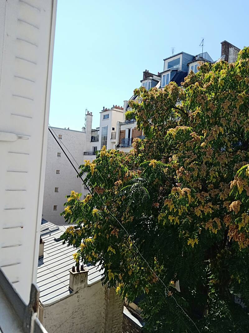 Paris 17E
