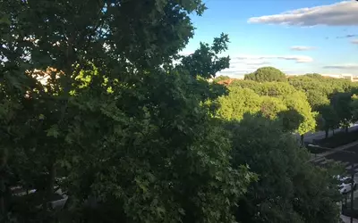 Nîmes (30000)