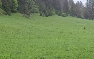 Mijoux (01170)