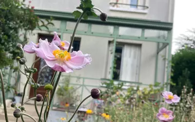 Bures-Sur-Yvette (91440)