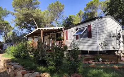 Saint-Maximin-La-Sainte-Baume (83470)