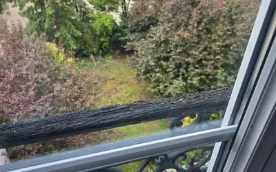 Maisons-Alfort (94700)