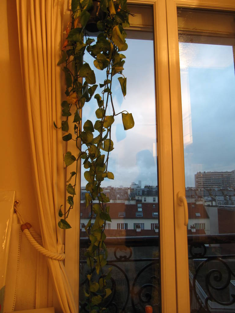 Paris 11E