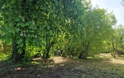 Bouleurs (77580)