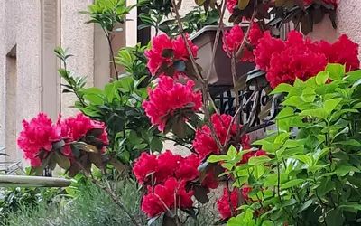 Ivry-Sur-Seine