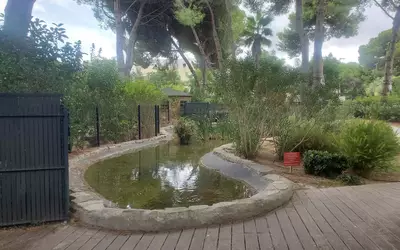 Montpellier (34000)