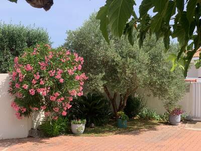 Vente maison 4 pièces Thuir (66300)
