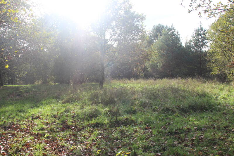 Saint-Astier (24110)
