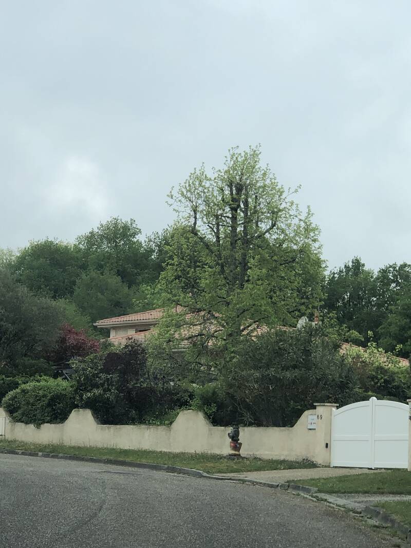 Pompignac (33370)