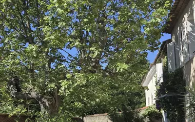 La Farlède (83210)
