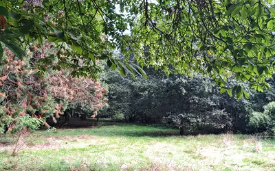Rambouillet