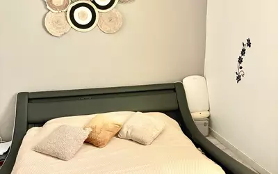 Maison À Vendre Lac Dse Bretonnières Joué-Lès-Tours (37300)