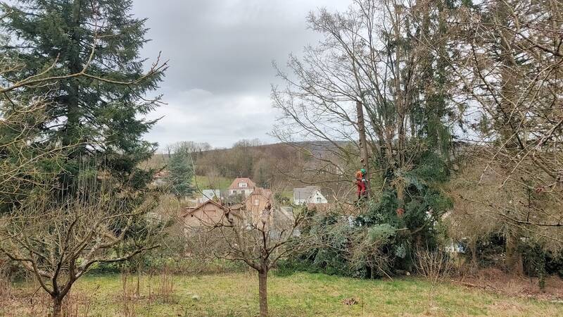 Niederbronn-Les-Bains (67110)