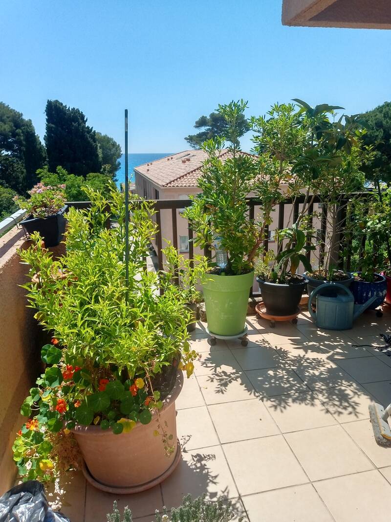La Seyne-Sur-Mer (83500)