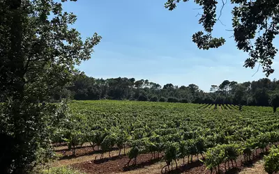 Flassans-Sur-Issole (83340)