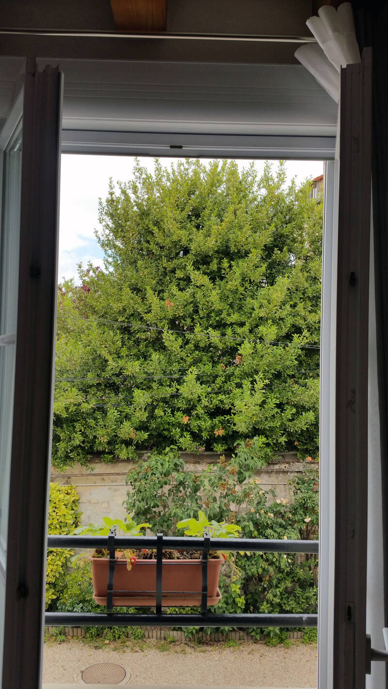 Chatou (78400)