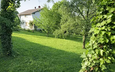 Brunstatt (68350)