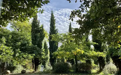 Bagnolet (93170)