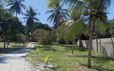 Brésil