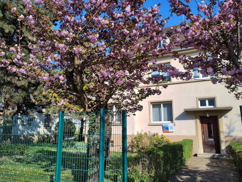 Strasbourg (67000)