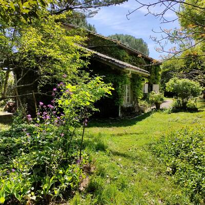 Vente maison 6 pièces Cursan (33670)