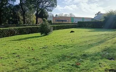 Trédion (56250)