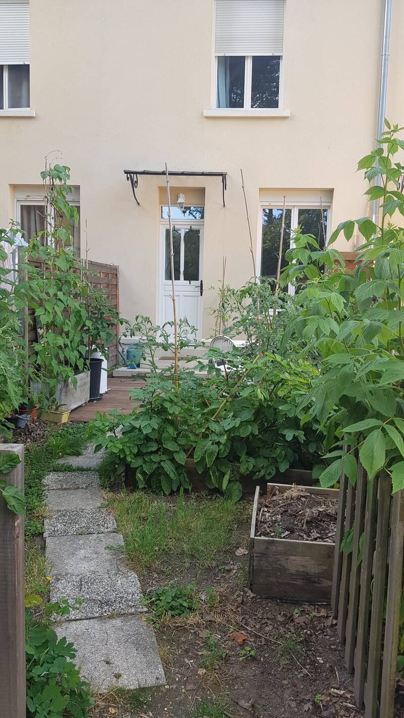 Maisons-Laffitte (78600)
