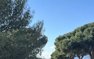 Toulon (83000)