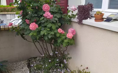 Villemoisson-Sur-Orge (91360)