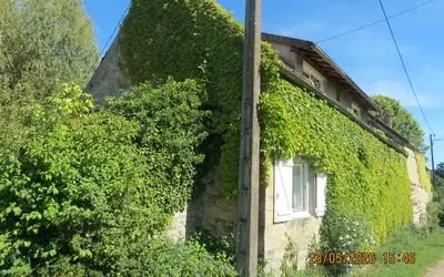 Neuilly (58420)
