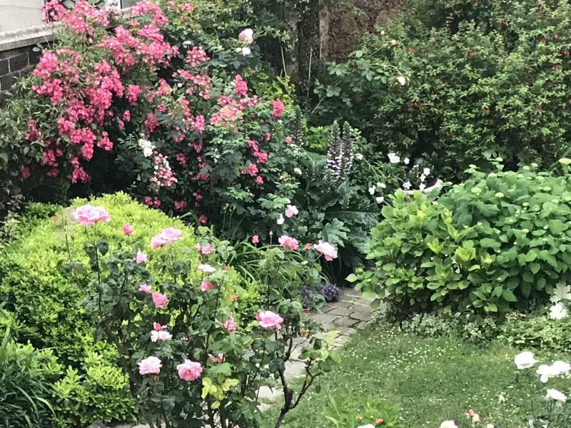 Avec Jardin Et Cachet