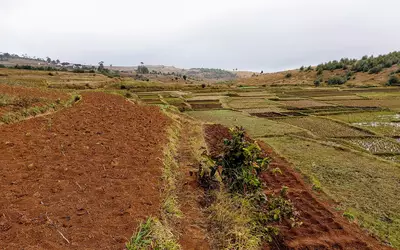 Madagascar