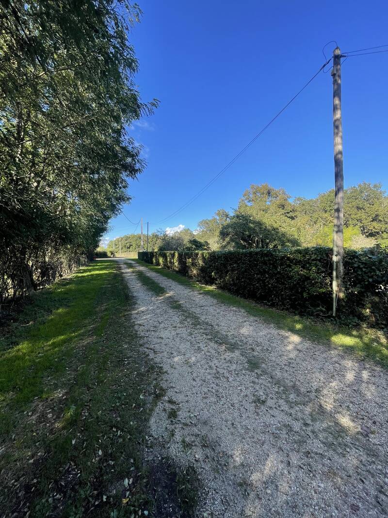 Montigné-Lès-Rairies (49430)