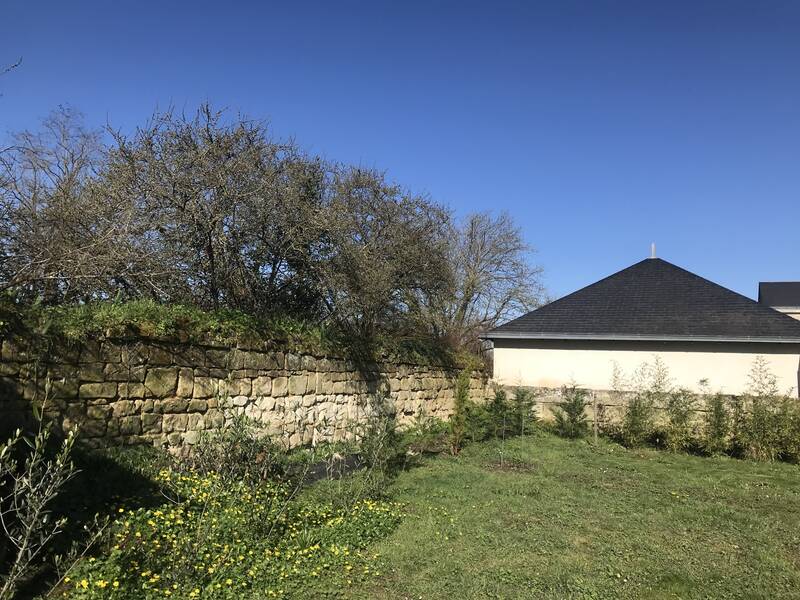 Fontevraud-L'abbaye (49590)
