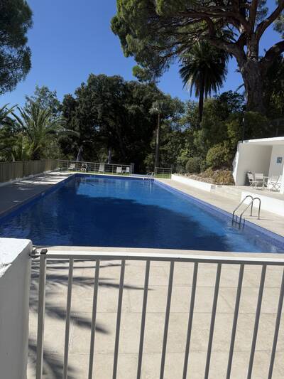 Location appartement studio Cannes (06)