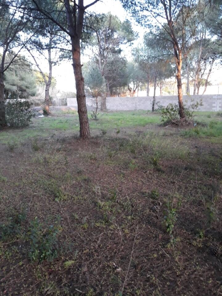 Agde (34300)