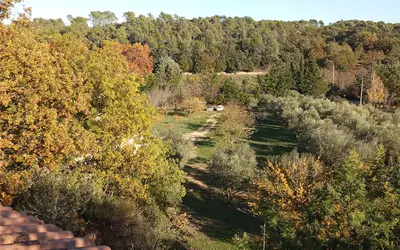Besse-Sur-Issole (83890)