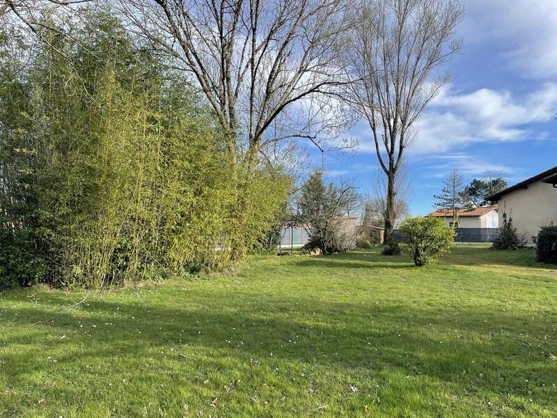 Saint-Martin-De-Laye (33910) Grand Terrain